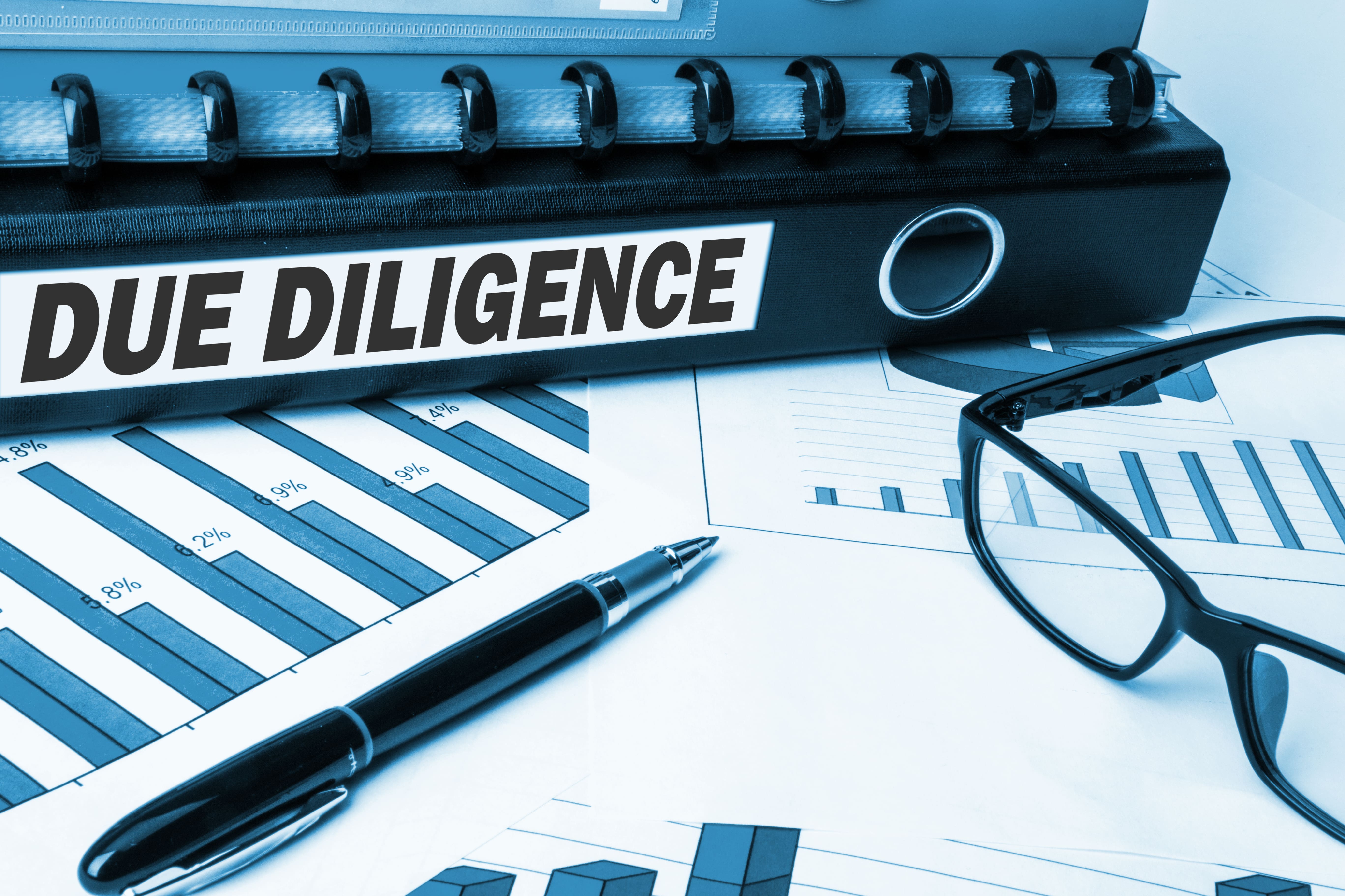 Due Diligence