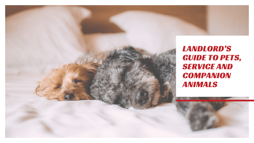 Landlord’s Guide to Pets, Service and Companion Animals in LA County